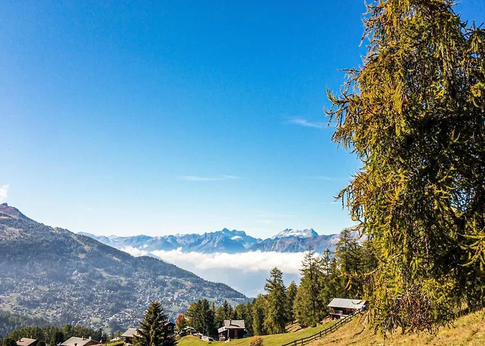 Flat In Near Des Bisses Nendaz