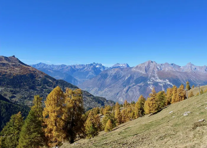 Flat In Near Des Bisses * Nendaz