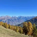 Flat In Near Des Bisses Nendaz