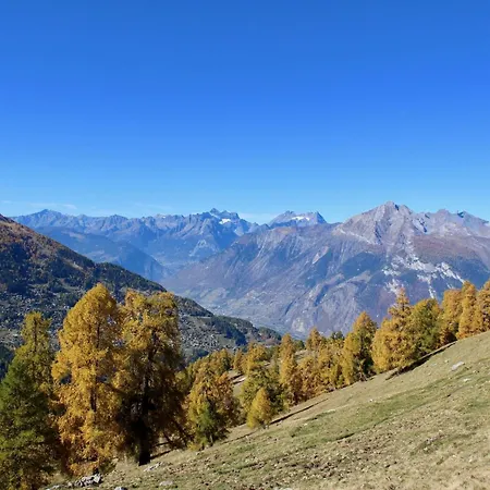 Flat In Near Des Bisses * Nendaz